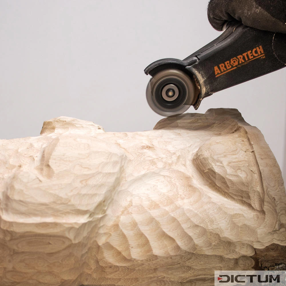 Jeu Complet Arbortech Mini Carver, 1000 Watts – Image 5